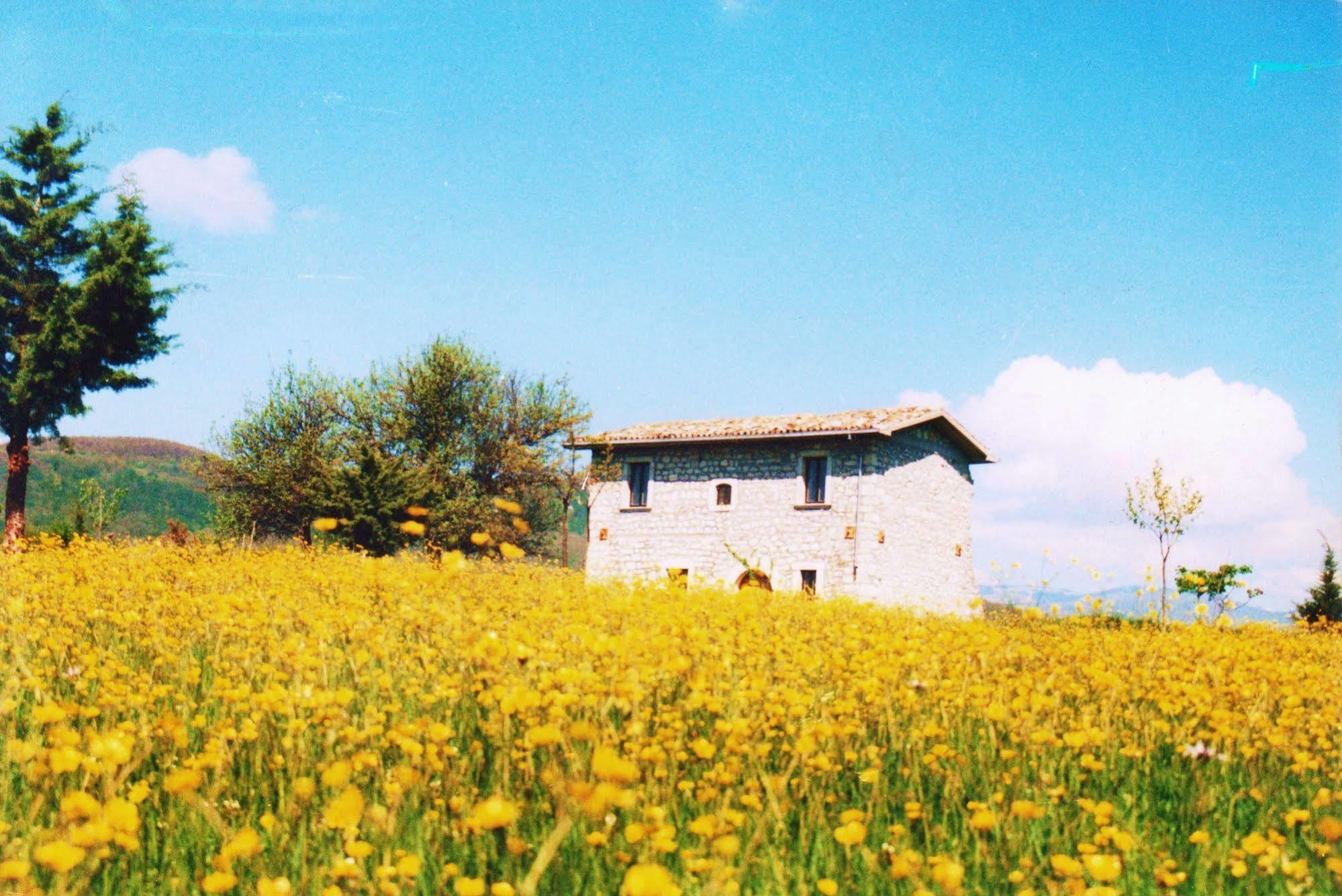 Villa Casino Tonti Iarussi Forlì del Sannio Exterior foto